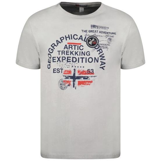 Muška T-shirt majica JERGEN Siva